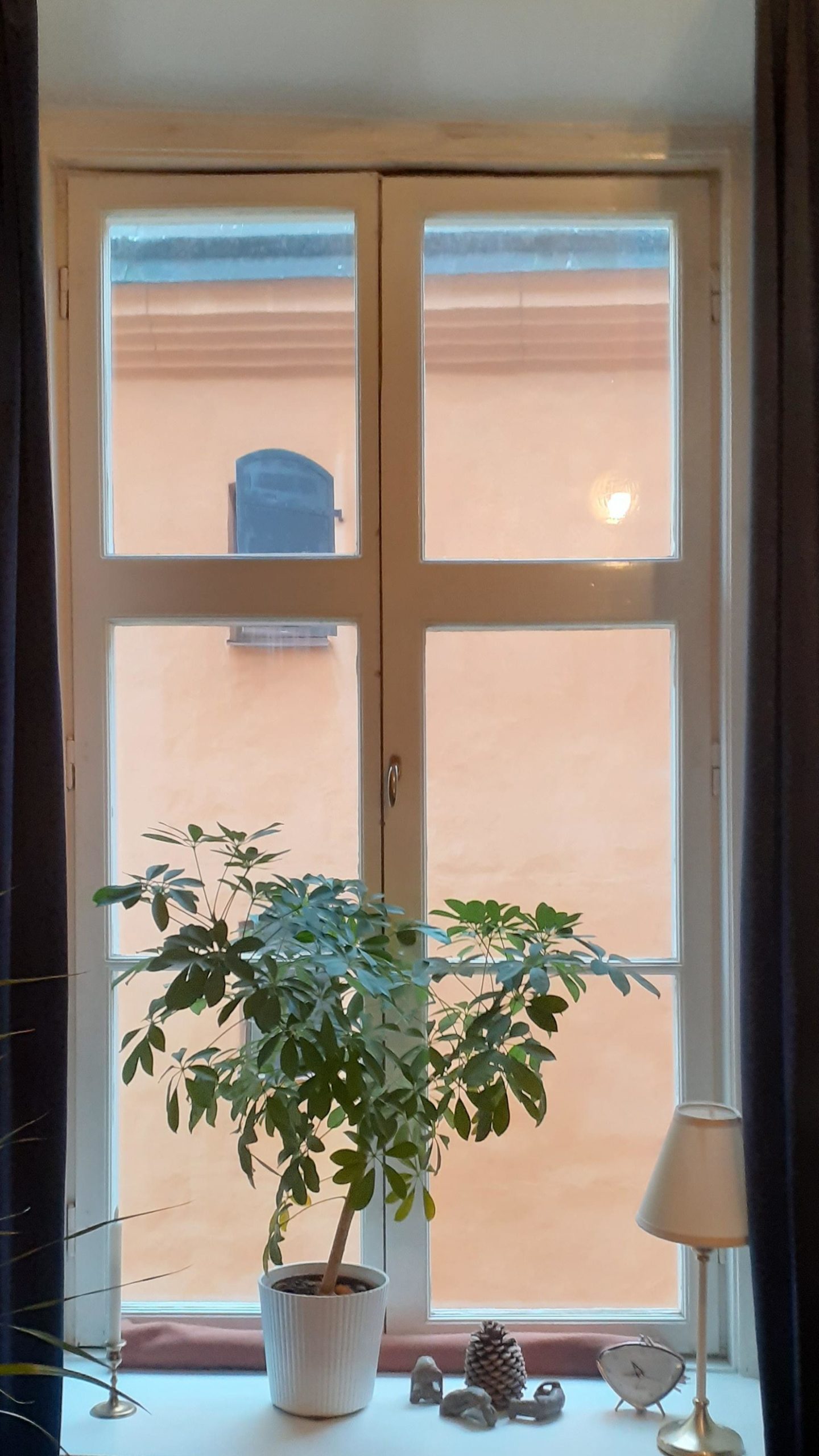 Mottagningen i gamla stan.